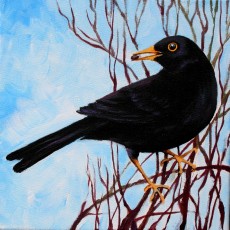 The Blackbird and the raisin